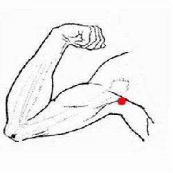 点刺穴位大全,局部针刺法