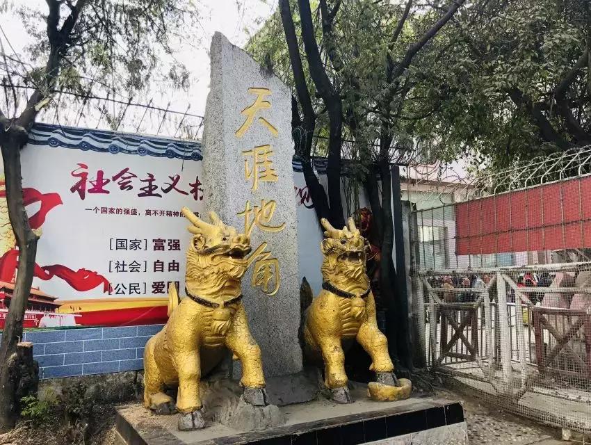 来姐告口岸体验一把非一般的跨境“网”商