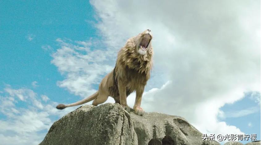 纳尼亚传奇和哈利波特有什么关系,哈利波特和纳尼亚谁厉害