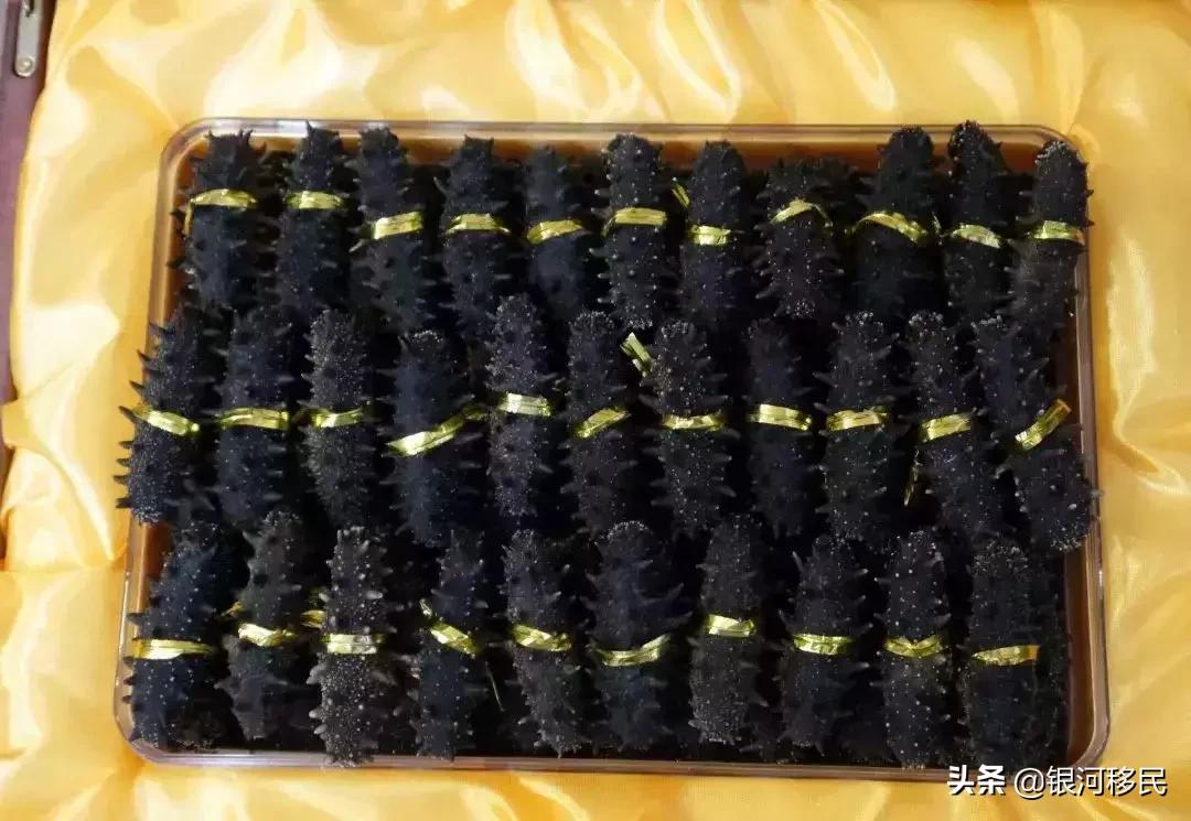 去香港要注意什么避免罚款,最新香港出入境禁带物品