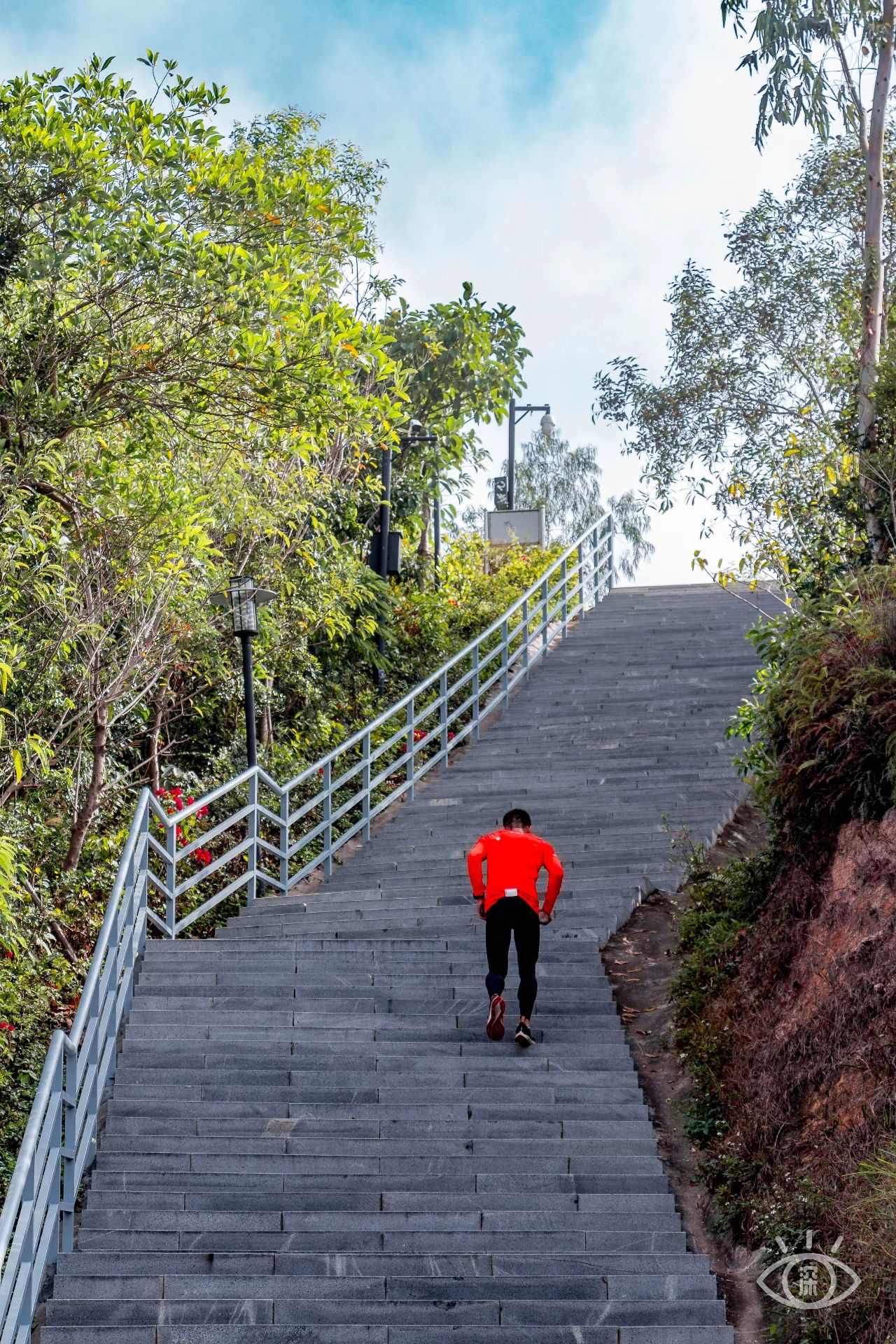 深圳二号线沿线有哪些景点游玩,深圳9号线沿途好玩的地方推荐