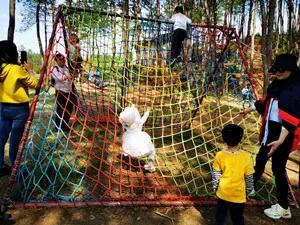 长沙周边旅游自由行攻略一日游,长沙周边景点一日游旅游团