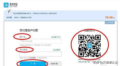 你买到回家的车票了吗新闻采访,你抢到了回家的车票吗