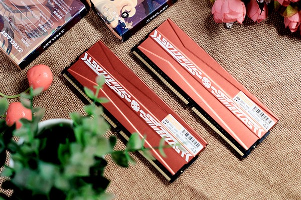 打破垄断纯国产电脑,台电2666内存条测评