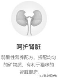 网易严选全价成猫粮测评,网易严选成猫粮和全价猫粮