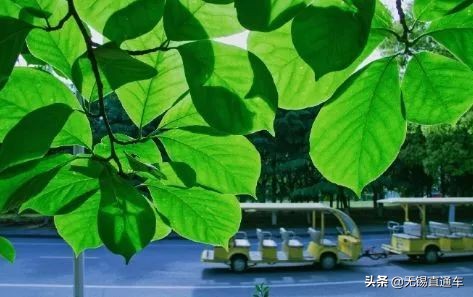 无锡夏天避暑的地方,无锡附近暑假避暑旅游好去处