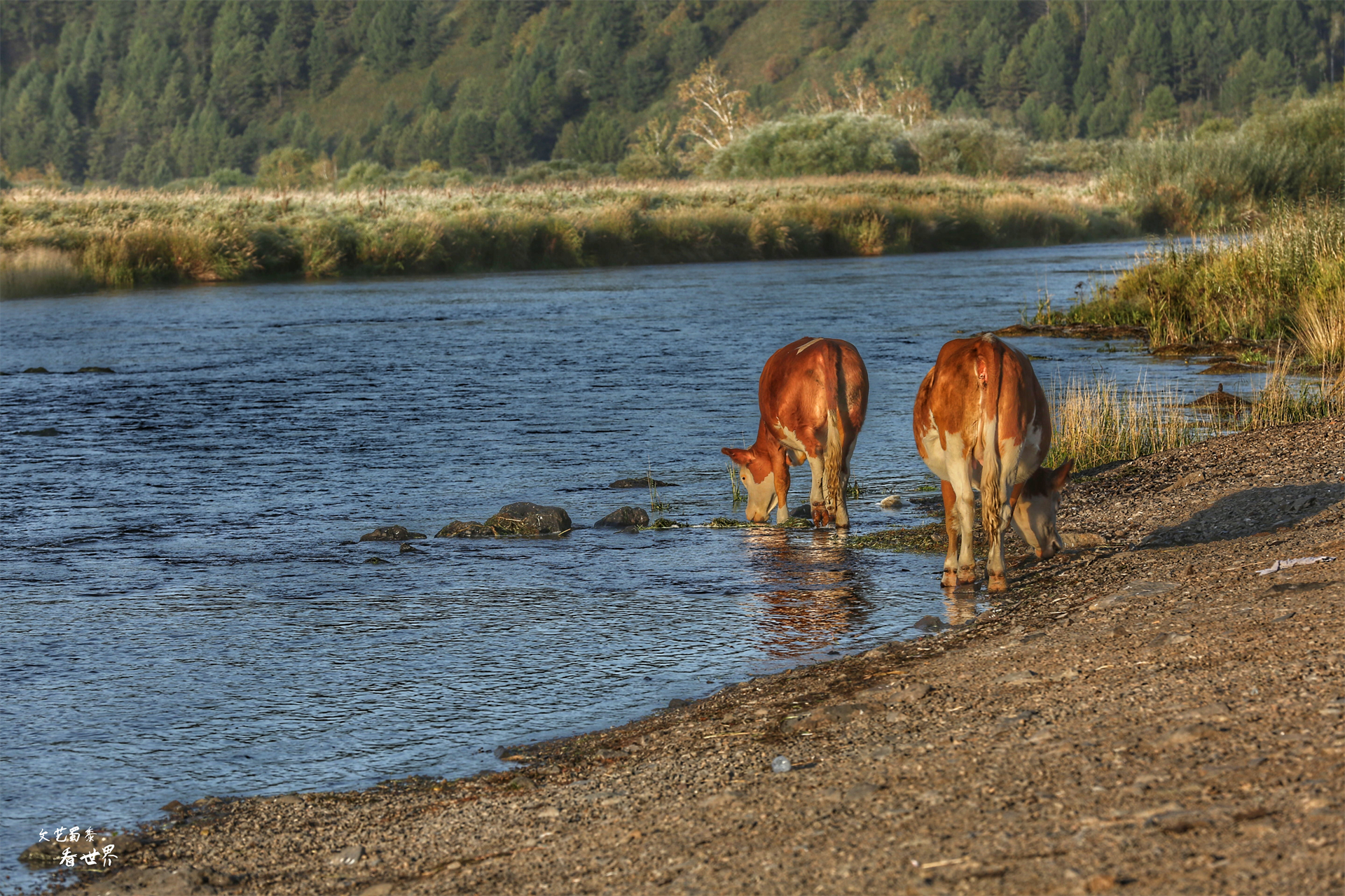 阿尔山的冬天就是童话世界,如果你第一次来到草原会感叹什么