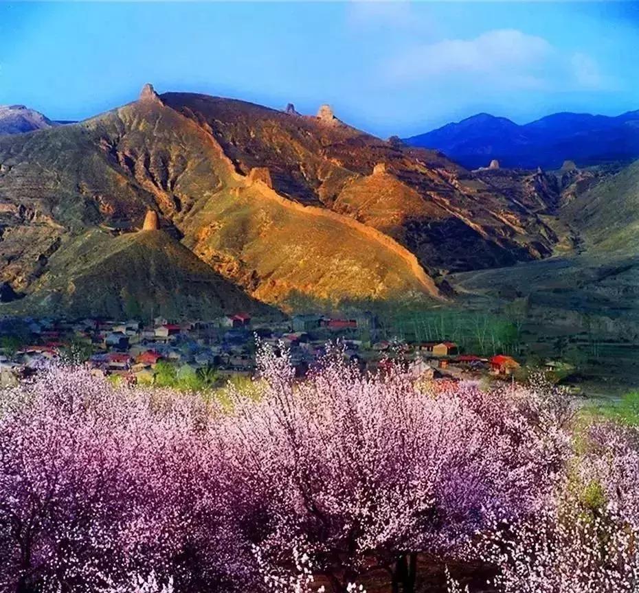 京郊最美的十大花海,京郊这些浪漫花海惊艳初秋的北京