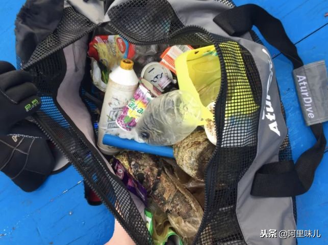 蚂蚁金服的一些项目,蚂蚁金服是怎么运作的