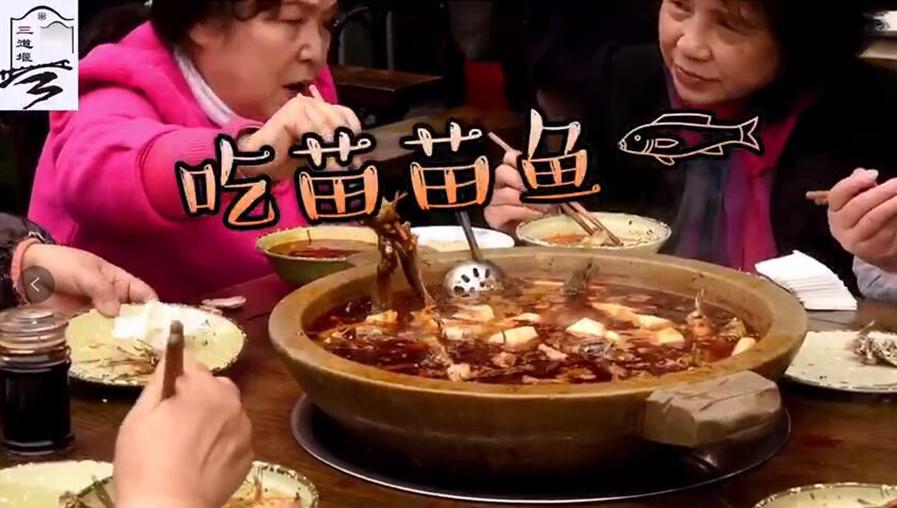 郫都三道堰水乡视频,郫都三道堰田园水乡