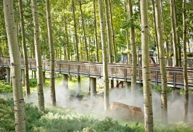 童话故事城堡豪宅,童话故事中的城堡