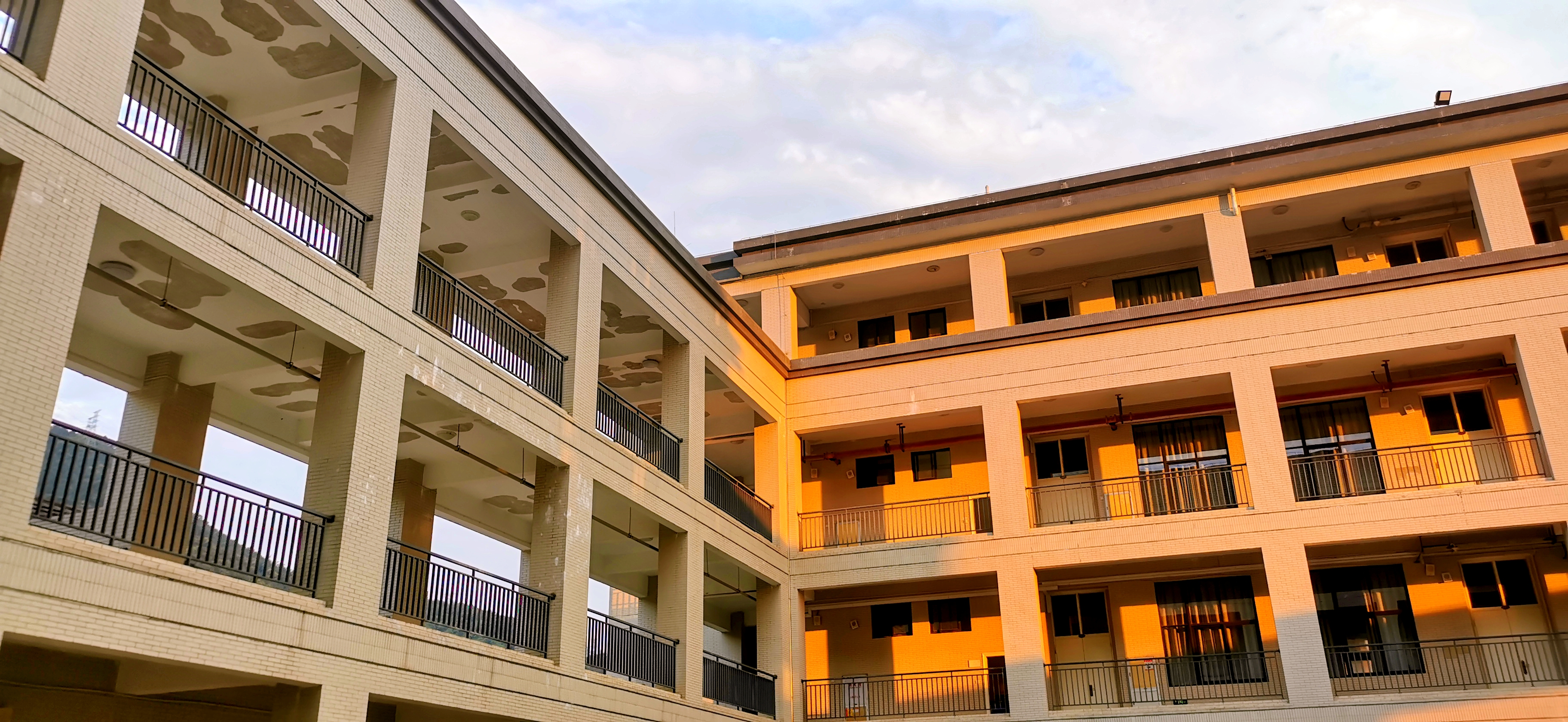 我眼中的茶,茶学专业出来都干嘛了