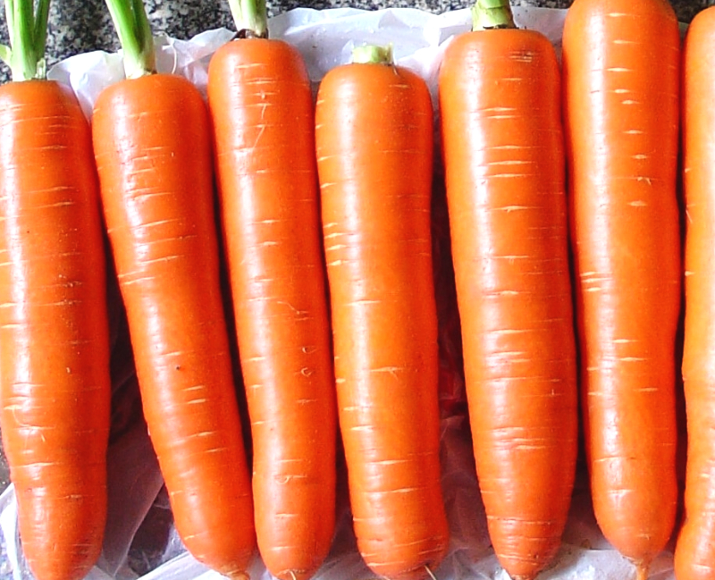 来到天下第一关,来到天下第一窖的感受