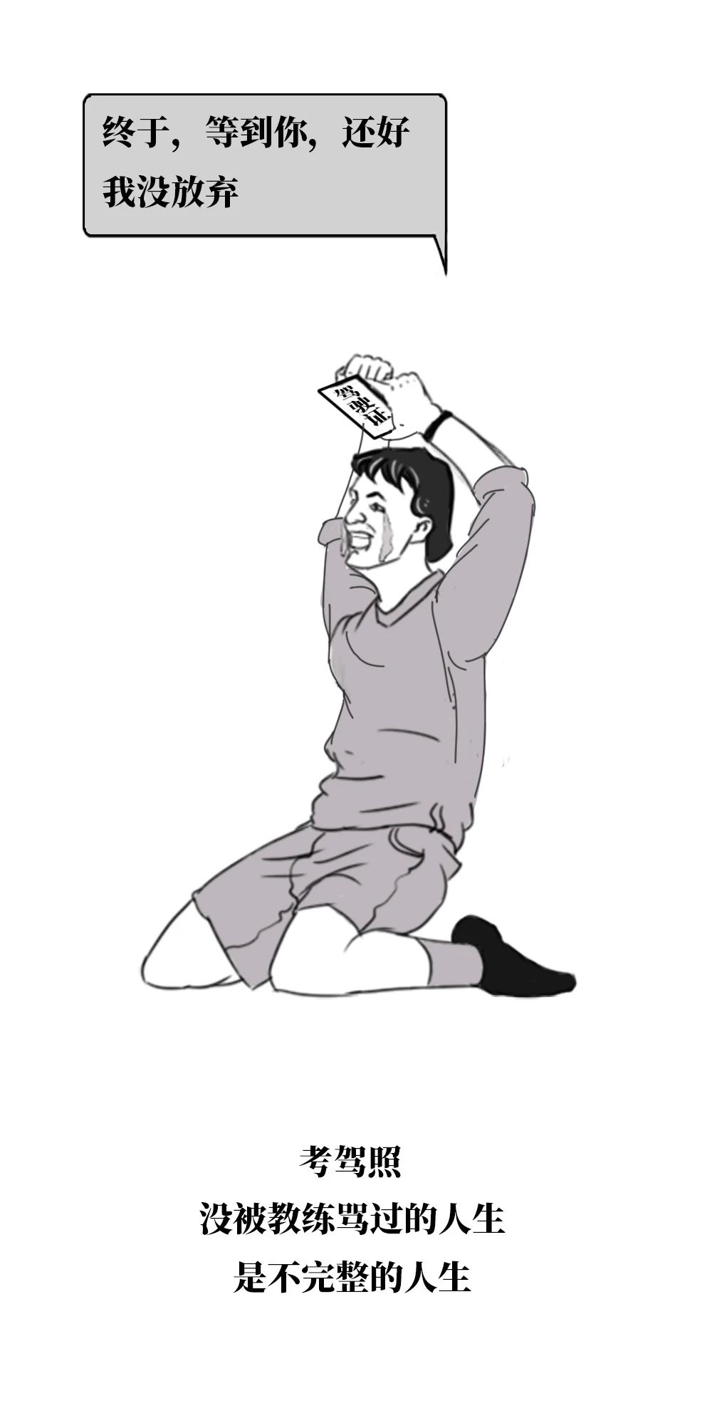 驾照本2016,驾照本大全