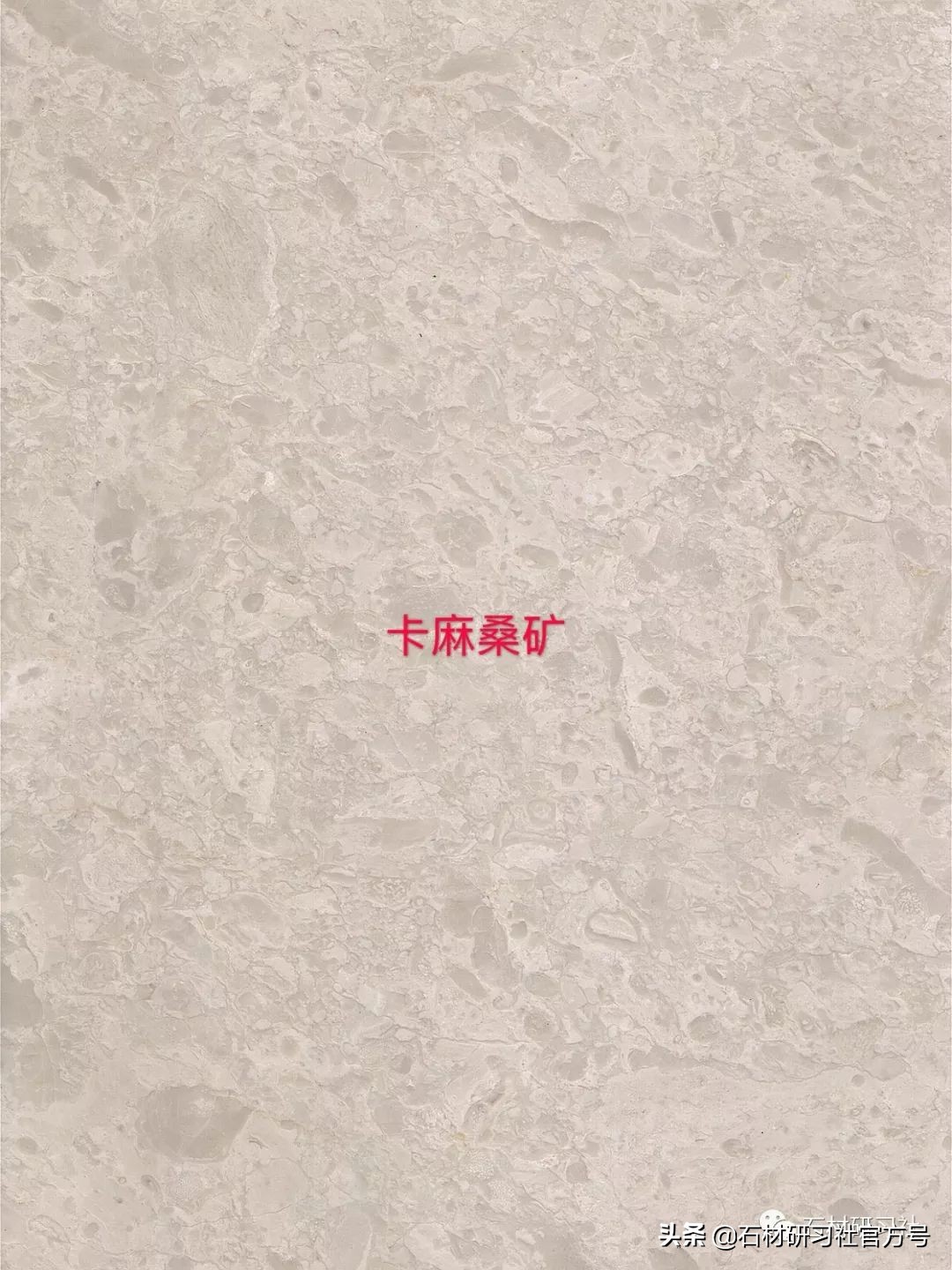 豪宅用的高级天然大理石,别墅铺什么颜色大理石档次最高