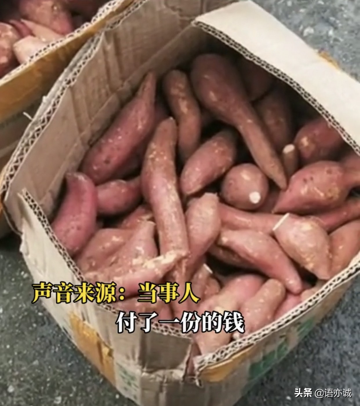 女子在网上买红薯,买一份却收到多份,钱被自动扣款是怎么回事?