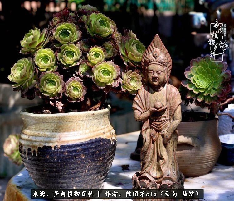 佛系看风景的地方,佛系风景空境视频