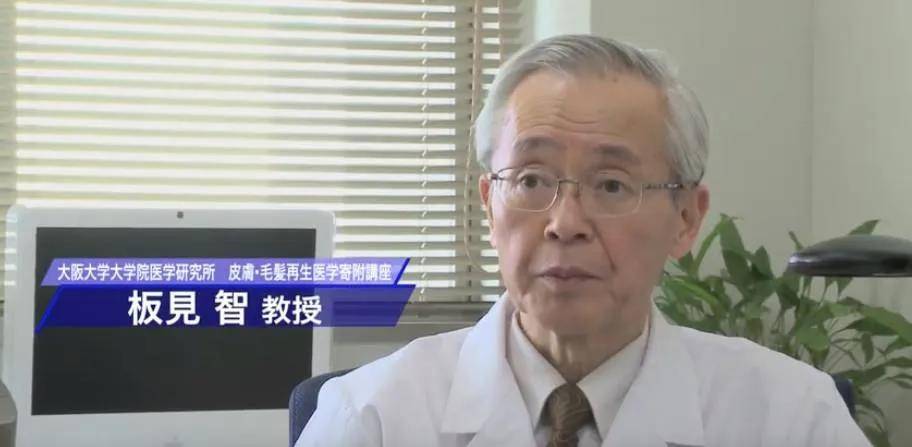 蒲公英女头,蒲公英女孩