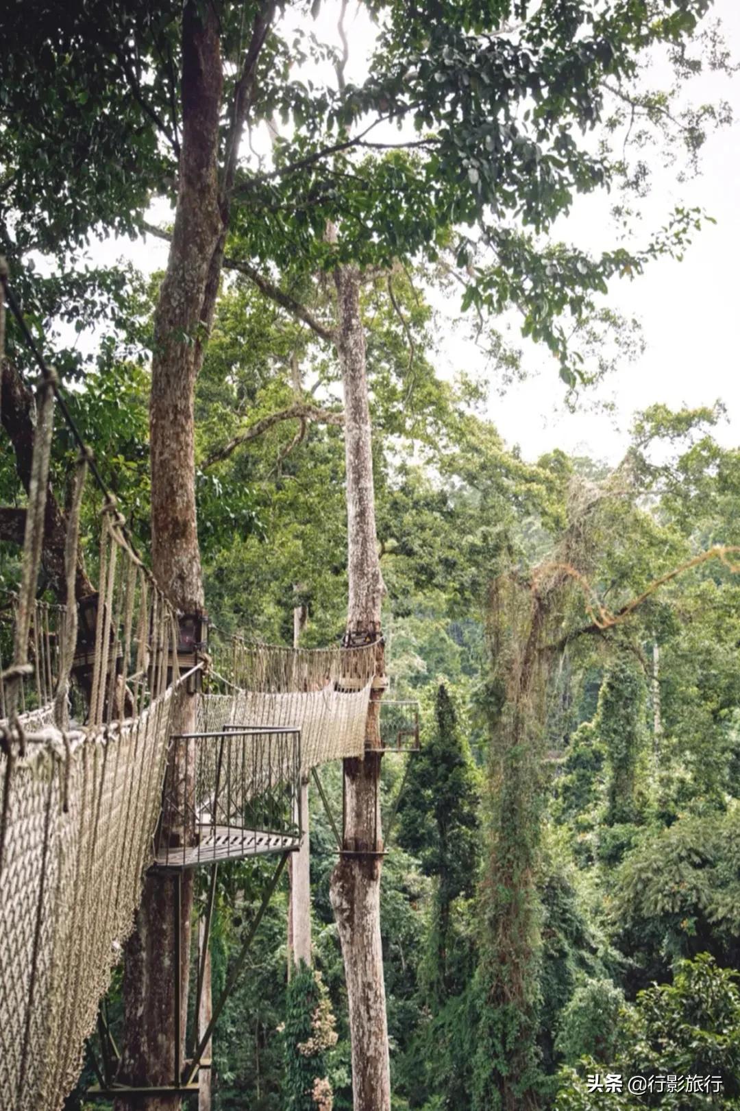 云南西双版纳地方介绍,云南西双版纳旅游简介