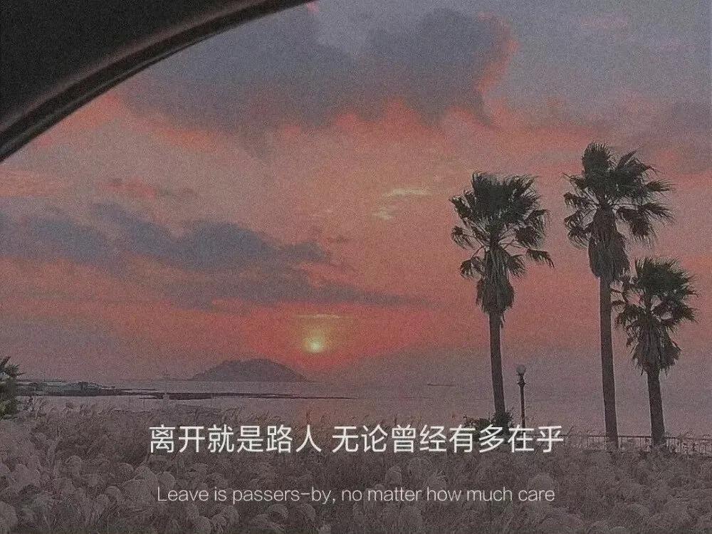 文章赏析摘抄,摘抄加赏析的段落