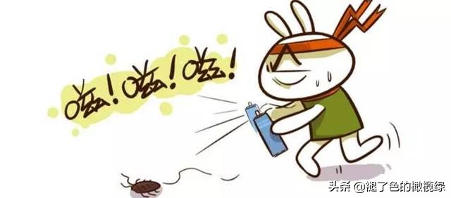 蟑螂成灾教你有效的灭蟑螂,用洋葱灭蟑螂最有效的方法