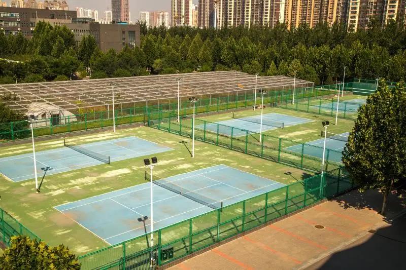 专业解读|体育教育、运动康复、运动训练、武术与民族传统体育