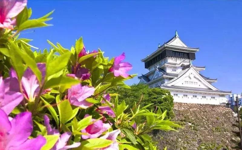 国际机场免税扫货攻略,购物攻略与技巧