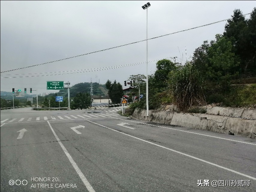 雪宝奶牛场,参观雪兰牛奶工厂心得体会