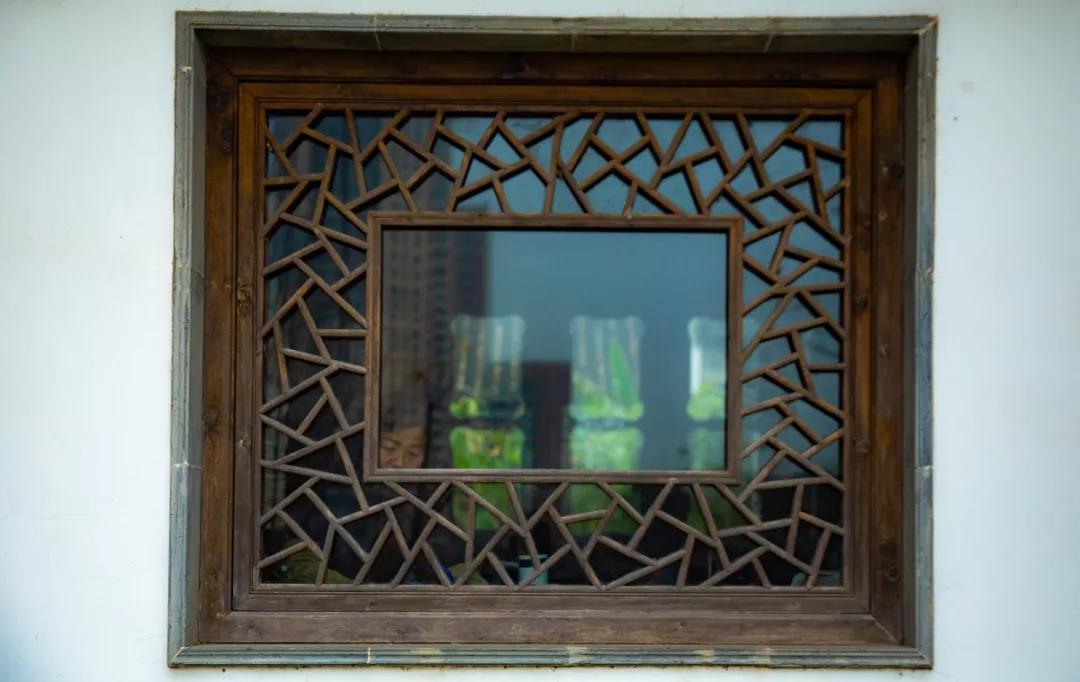 南京腊梅最佳观赏时间,南京赏梅花景点推荐