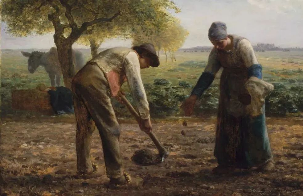 你对霸道的力量一无所知是什么梗,你对宇智波的力量一无所知日语