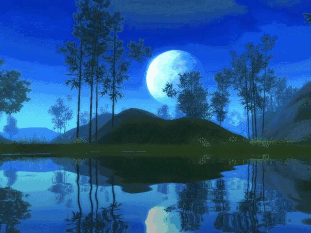 100张会动照片,30张罕见且迷人的图片