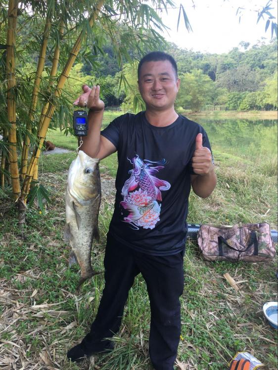 本汀金迦潘求败,金家潘强攻