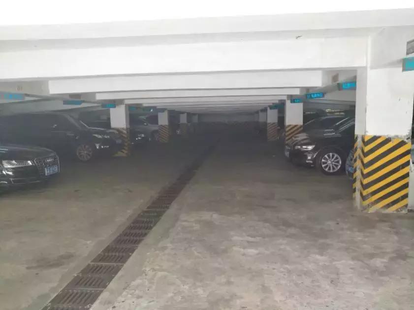 曾经的富人区如今没有人住,曾经的富人区洋房中的洋房