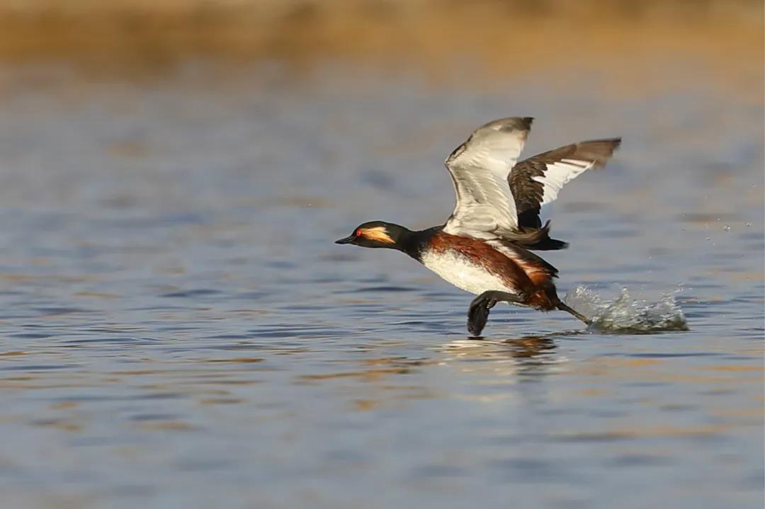塔城最好旅游季节,塔城好去处