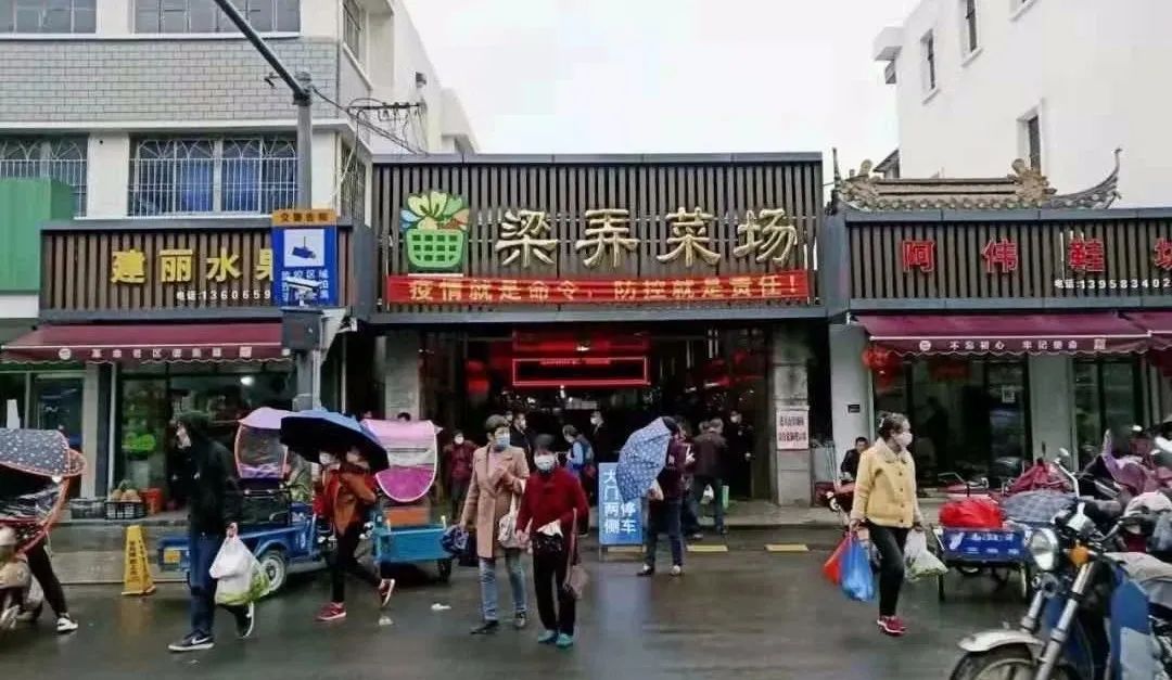 陈慧作家采访,陈慧作家作品