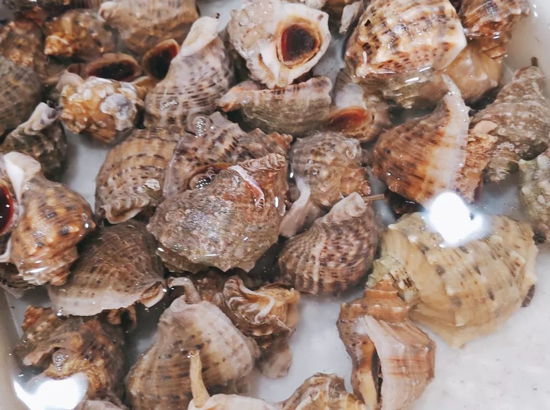 秦皇岛休渔海鲜贵吗,秦皇岛禁渔期海鲜怎么来的