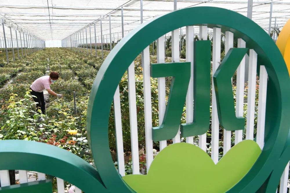 碧波奔流黄土坡——“引洮工程”的世纪圆梦故事