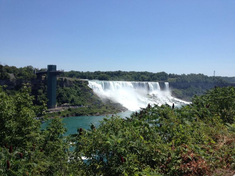 很多出国留学的人在哪里就业,百万预算出国留学