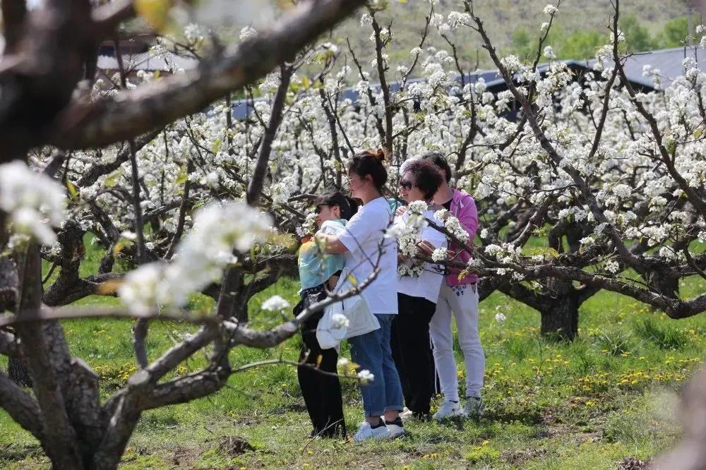 情深缘起重逢,情深缘起下一句