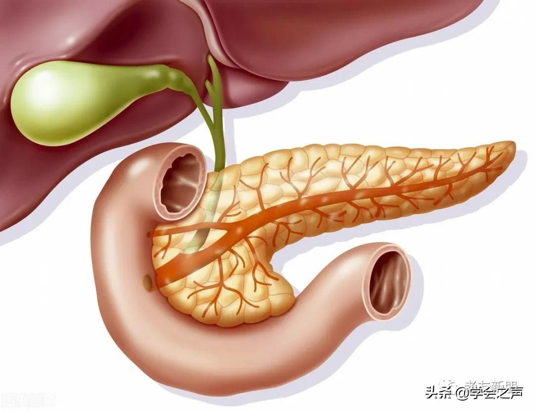 胰腺癌：起病急，死亡率高！有这3种症状需警觉