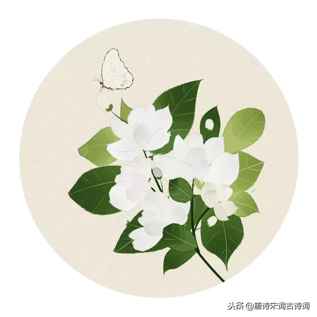 经典虞美人十首,最美虞美人十首