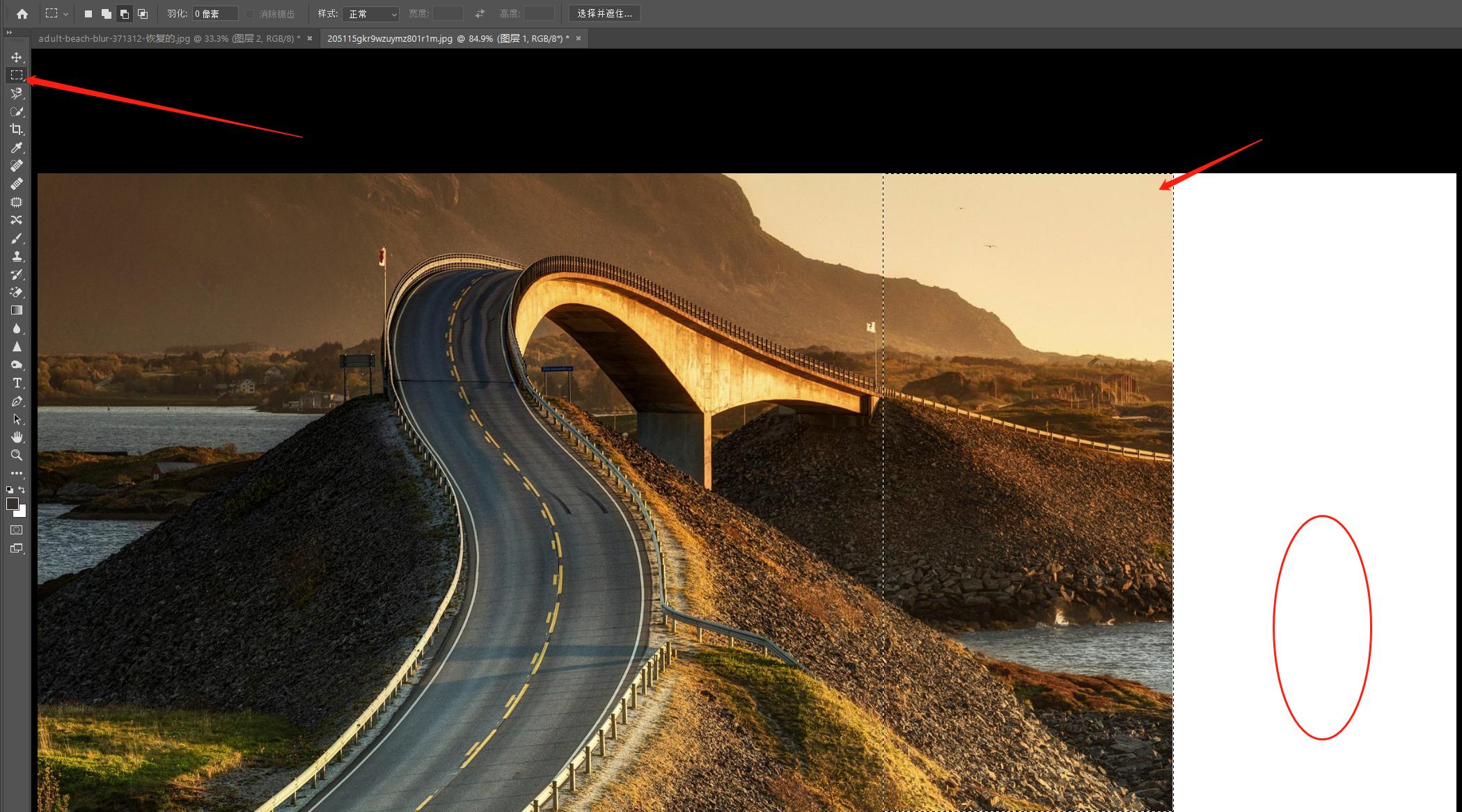 PS三大拦路虎之选区工具,7分钟循序渐进的轻松学习10种选区工具