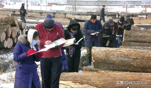 东北林区永恒的“青春之歌”——亚洲第一大贮木场