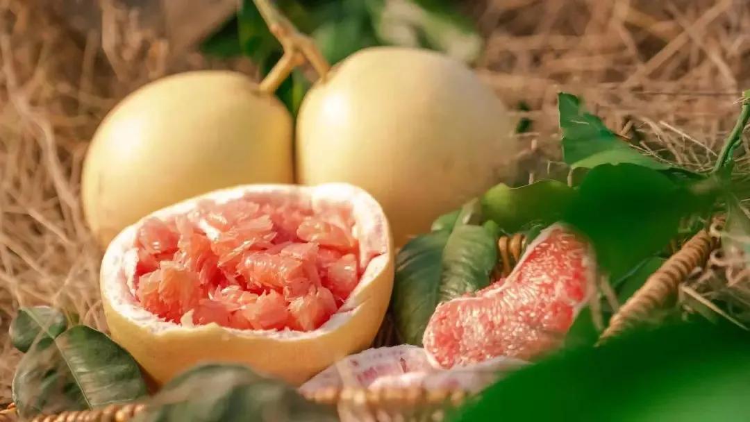 当丰收节遇上中秋节,当中秋节遇上教师节美食