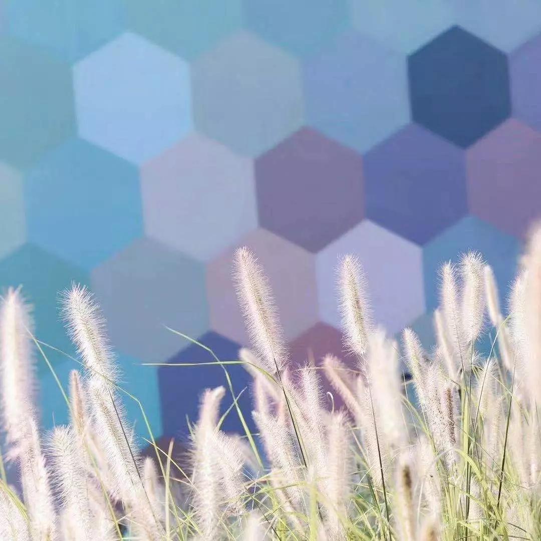 浪漫树屋、奇妙酒店、恒温水乐园...去江浙沪Top酒店跨个30℃的年