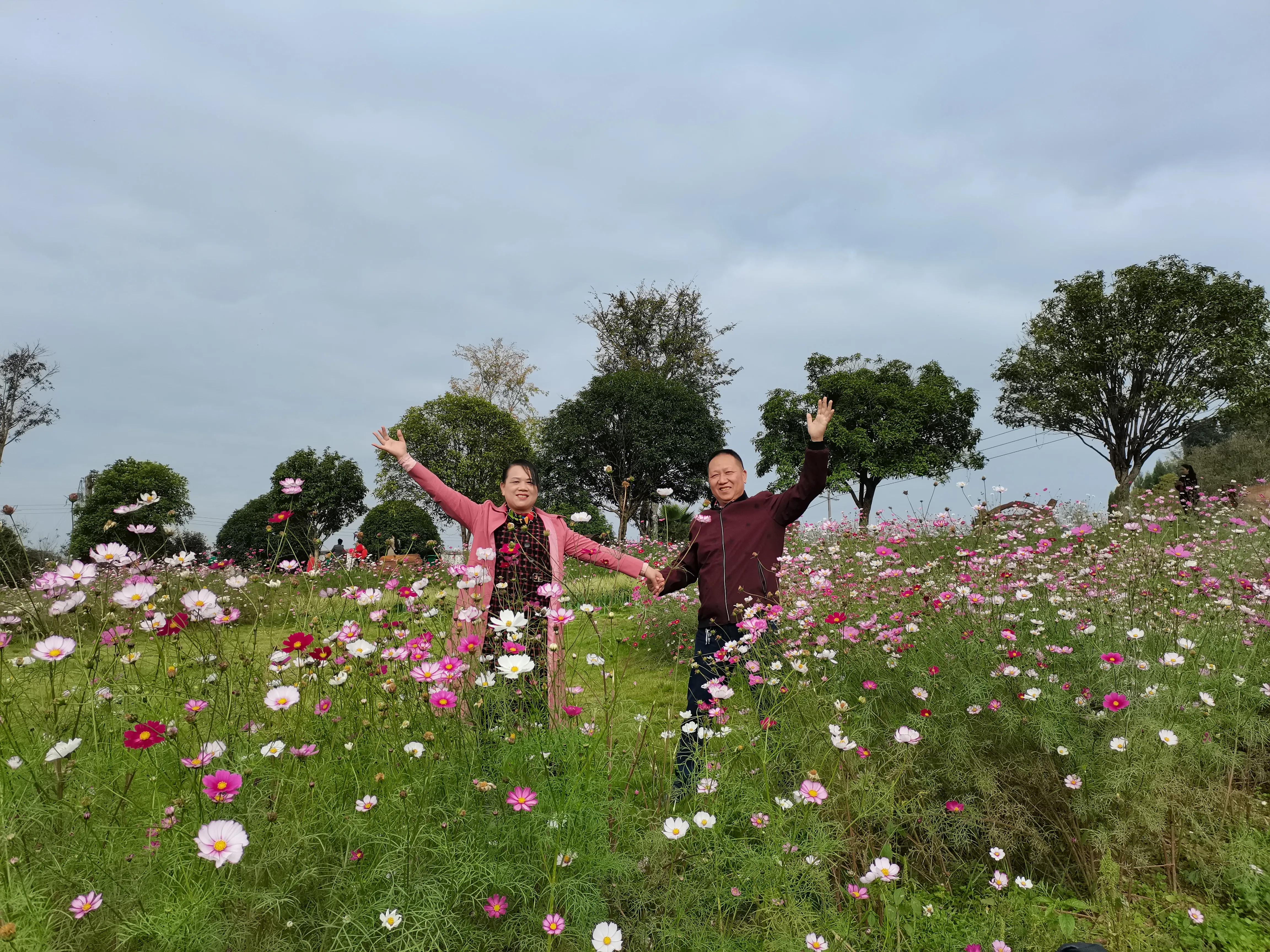 2020年11字对联大全,2023年11月对联