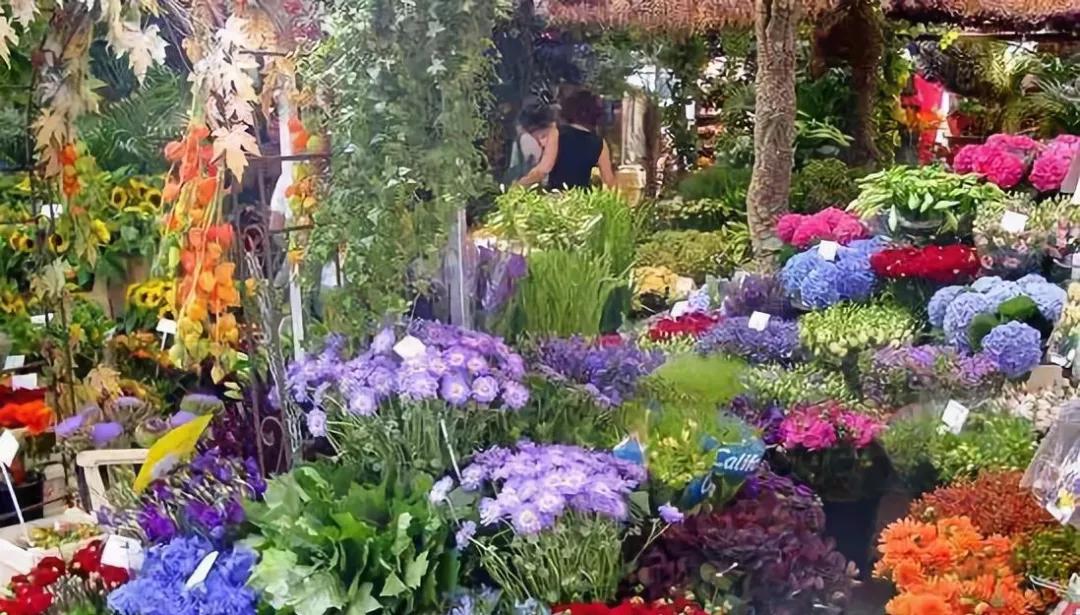 世界花卉交易市场排行榜前十名,世界上最稀有的花卉市场