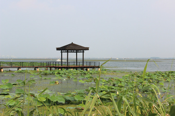 阳澄湖莲花岛亲子一日游攻略,阳澄湖莲花岛一日游攻略门票价格