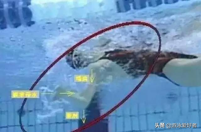 仰泳鼻子总是呛水,仰泳时手往后一伸就呛水