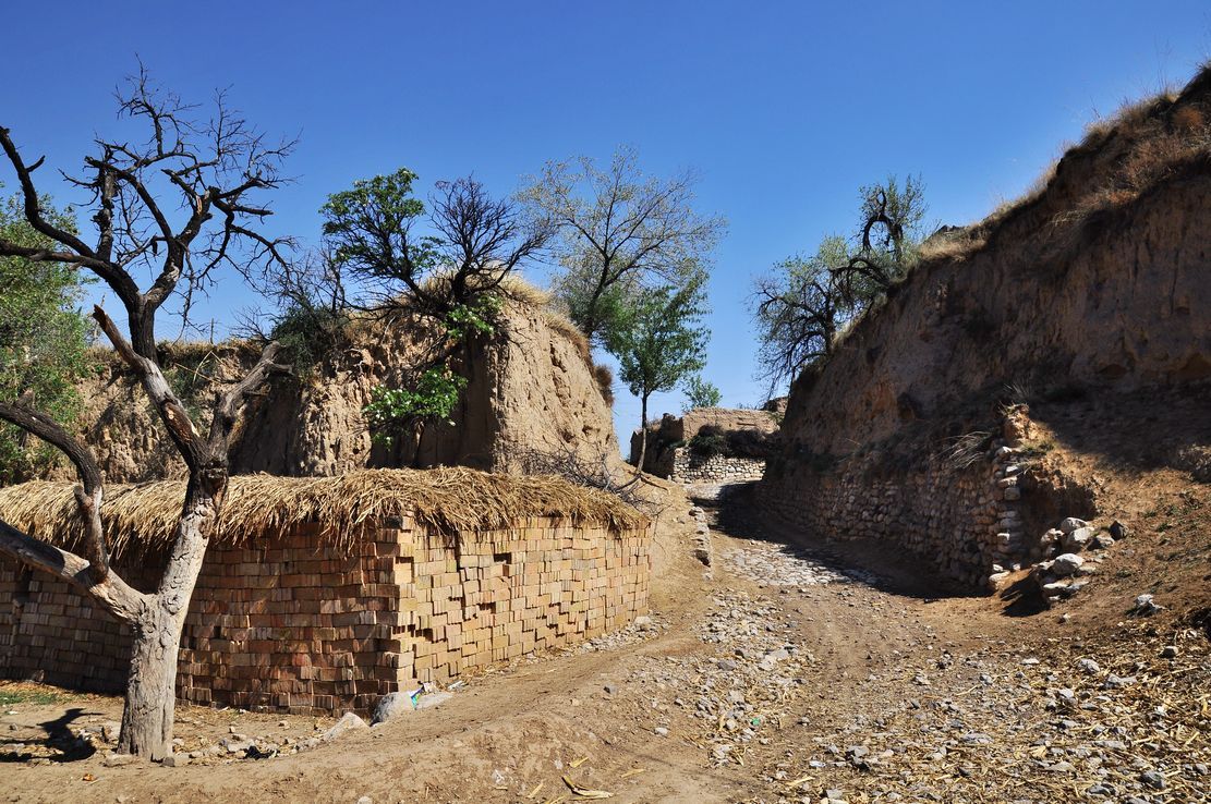 11岁男孩怪异事件,监控拍下灵异娃娃事件